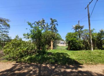 Comercial · 5000m² · CHÁCARA Chácara Catâneo Ângelo - SÃO MANUEL / SP