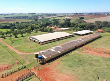 Rural de 3 quartos, Tatuí · Haras de alto Padrão - Tatuí / SP
