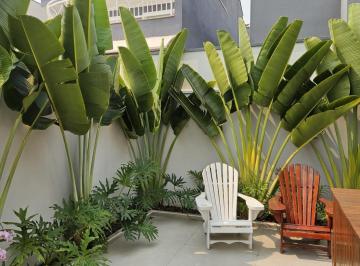 20260111143522298.jpeg · Casa em Condomínio para Venda em Sumaré, Residencial Real Parque Sumaré, 3 dormitórios, 3 suítes, 5