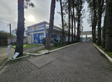 Comercial · 39m² · 1 Quarto · EXCELENTE LOJA COMERCIAL
