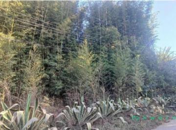Terreno , Mairiporã · Terreno em Mairiporã/SP com 1900m²