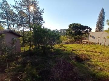 Terreno · 371m² · Terreno com 372m² em avenida no bairro Tarumã.