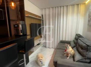 6de79b00f7ea90c9ee626ea5a12c1cea32720d57 · Apartamento com 2 dormitórios à venda, 56 m² por R$ 375.000,00 - Vila Nova Cachoeirinha - São Paulo/