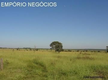 Foto 01 · Sítio - Mococa