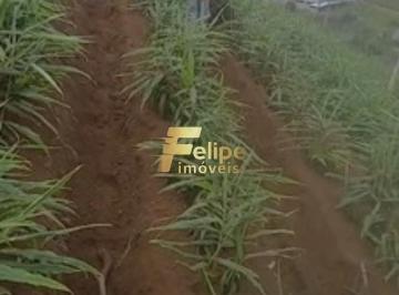 Imagem 1 · Terreno para venda em Centro, Santa Leopoldina