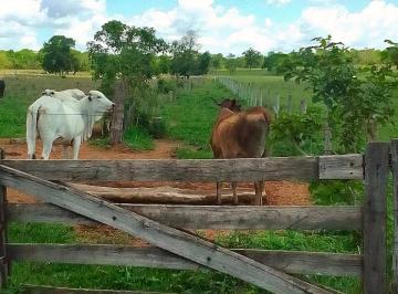 Imagem 1 · Sítio para venda em Área Rural de Rochedo, Rochedo