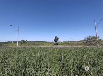 Imagem 1 · Terreno para venda em Lameirão, Guarapari