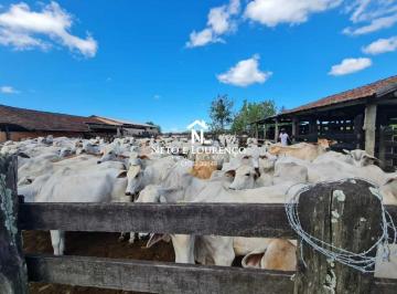 Imagem 1 · Fazenda para venda em Centro, Araruama
