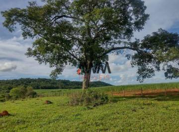 Imagem 1 · Fazenda para venda em Centro, Anicuns