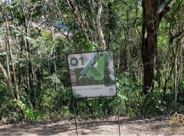 Imagem 1 · Terreno para venda em Pedro do Rio, Petrópolis