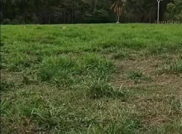 Imagem 1 · Casa para venda em Guarantã do Norte