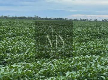Imagem 1 · Terreno para venda em Sorriso