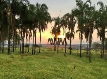 Imagem 1 · Fazenda para venda em Área Rural de Trindade, Trindade