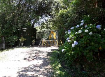 Imagem 1 · Sítio para venda em Cerrito, Santa Maria