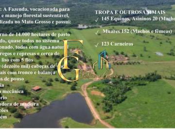 Imagem 1 · Terreno para venda em Água Boa