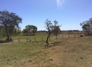 Imagem 1 · Terreno para venda em Santo Antônio do Leverger