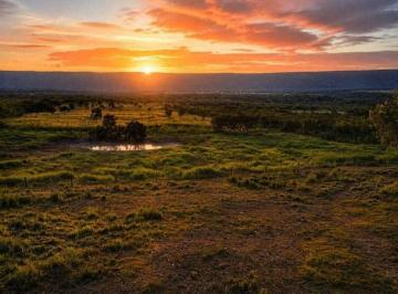 Imagem 1 · Sítio para venda em Centro, Alto Paraguai