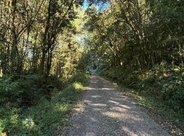 Imagem 1 · Sítio para venda em Fazenda Souza, Caxias do Sul