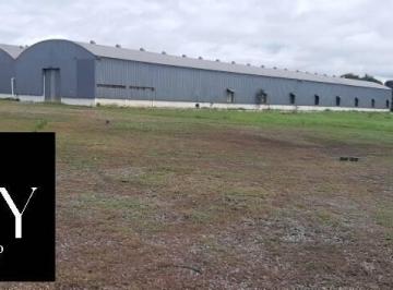 Imagem 1 · Prédio Inteiro para venda e aluguel em Distrito Industrial,
