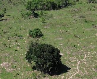 Imagem 1 · Casa para venda em Guarantã do Norte
