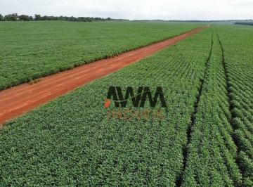 Imagem 1 · Fazenda para venda em Centro, Paraíso do Tocantins
