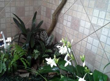 Imagem 1 · Casa para venda em Chácara Paraíso, Nova Friburgo