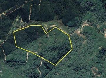 Terreno · 310m² · Terreno para venda em Colonia João Xxiii de 310.00m²