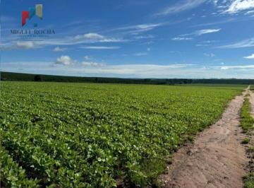 Imagem 1 · Fazenda para venda em Centro, Avaré