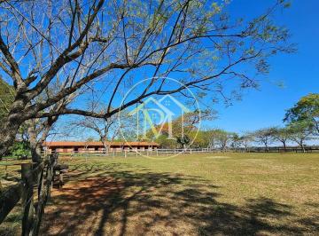 Imagem 1 · Fazenda para venda em Centro, Cesário Lange
