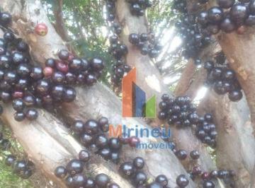 Imagem 1 · Chácara para venda em Jardim Boa Vista, Hortolândia