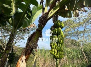 Imagem 1 · Chácara para venda em Anhumas, Botucatu