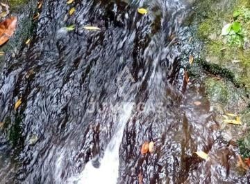 Imagem 1 · Sítio para venda em Cascata, Pelotas