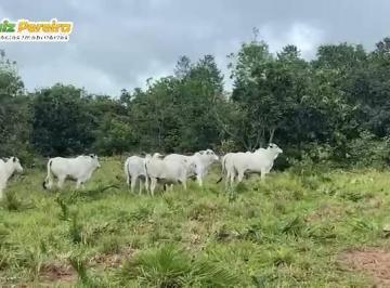 Imagem 1 · Terreno para venda em Centro, Itiquira