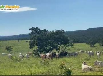 Imagem 1 · Terreno para venda em Centro, Itiquira