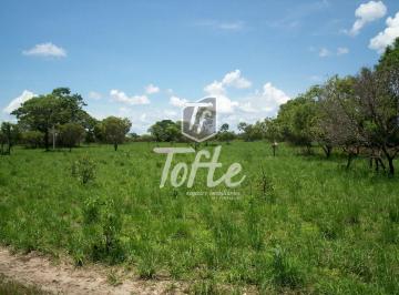 Imagem 1 · Fazenda para venda em Centro, Luciara