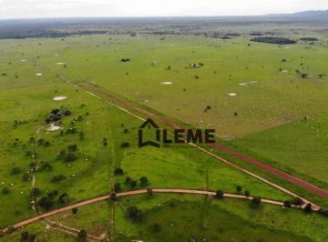 Imagem 1 · Fazenda para venda em Centro-Norte, Cuiabá