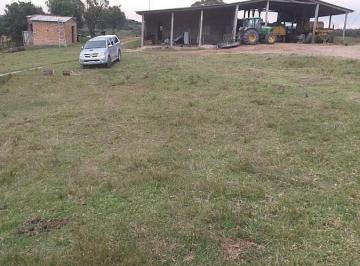 Imagem 1 · Fazenda para venda em Centro, Piratini