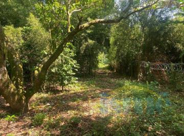Imagem 1 · Chácara para venda em Chácara Santa Margarida, Campinas