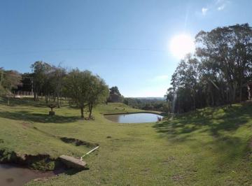 Imagem 1 · Sítio para venda em Samuara, Caxias do Sul