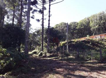 Imagem 3 · Sítio para venda em São Francisco de Paula