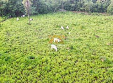Imagem 1 · Fazenda para venda em Centro, Aparecida do Rio Negro