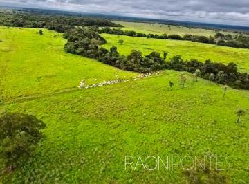 Imagem 1 · Fazenda para venda em Centro, Filadélfia