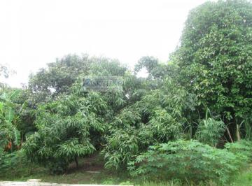 Imagem 1 · Chácara para venda em Estância Primavera (Zona Rural), São J