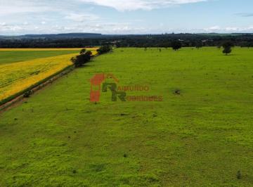 Imagem 1 · Fazenda para venda em Jardim ABC, Cidade Ocidental