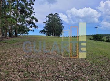 Imagem 1 · Fazenda para venda em Centro, Sentinela do Sul