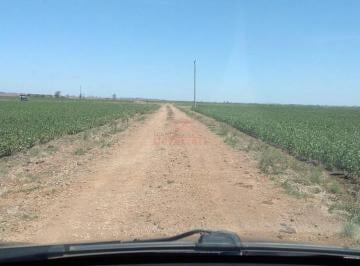Imagem 1 · Fazenda para venda em Centro, Uruguaiana