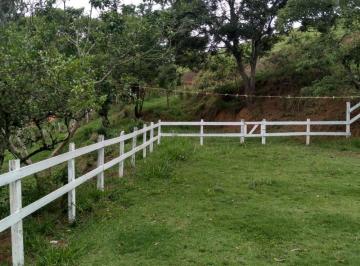 Imagem 1 · Sítio para venda em Paraisópolis