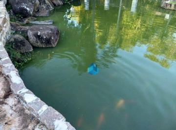 Imagem 1 · Chácara para venda em Lagos de Shanadu, Indaiatuba