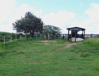 Imagem 1 · Fazenda para venda em Centro, Goianésia do Pará