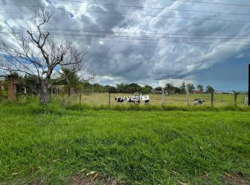 Imagem 1 · Sítio para venda em Jaci